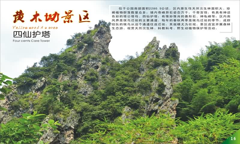 临武县门户网站 - 湖南西瑶绿谷国家森林公园