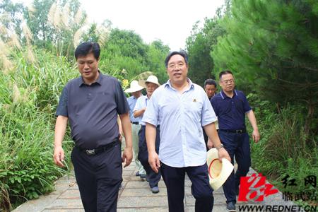 临武县委书记李浩陪同市政协常委视察临武县文旅项目