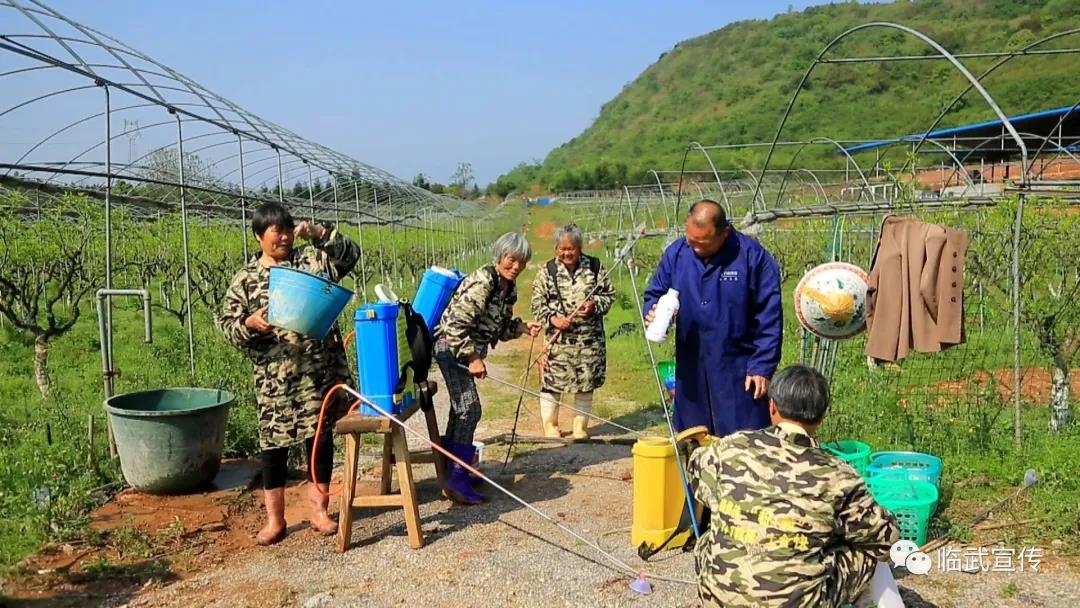 临武县武水镇人口有多少_临武县舜峰镇全景