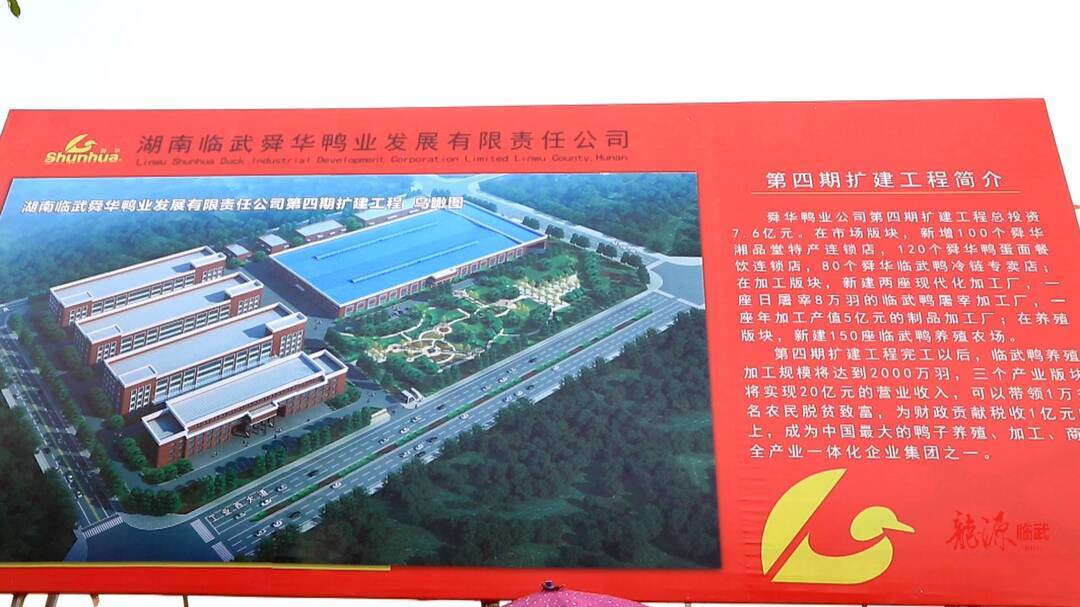 临武县委书记刘杨到舜华鸭业公司现场办公