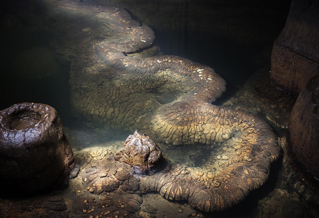 临武石龙 天下奇观