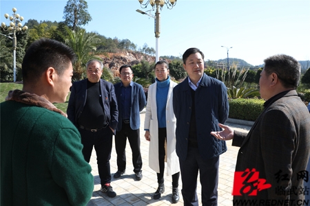 市委常委,常务副市长蒋锋来临武县调研违建别墅清查整治工作