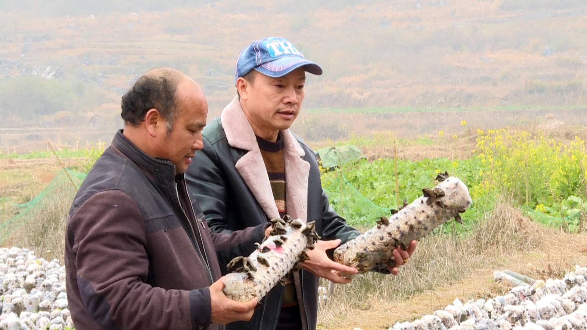 首页 政务公开 政务动态 社会动态欧爱国17岁开始扎根