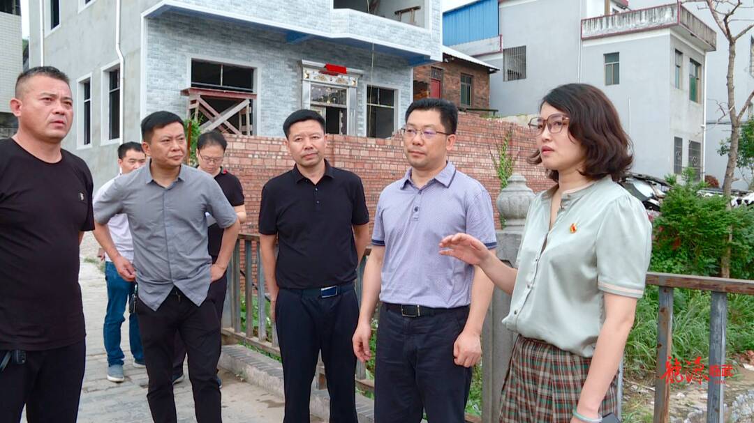 副市长贺遵庆检查临武县防汛工作