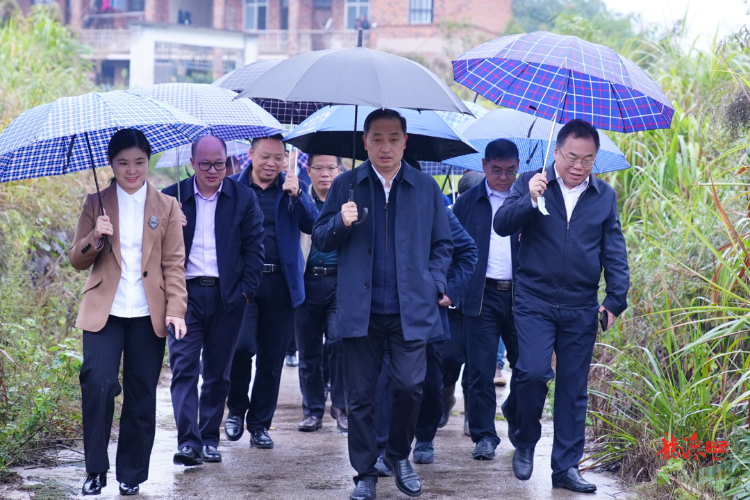 市委副书记代市长吴巨培来临武县调研经济社会发展情况