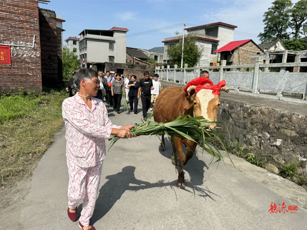 临武县金江镇:传承民俗文化 建设和美乡村