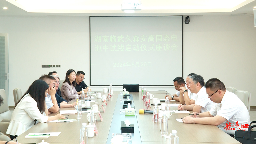 市委常委,副市长马天毅来临调研固态电池项目推进计划
