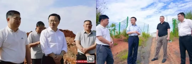 临武县门户网站 - 郴州市各县(市,区)党委主要领导蓄力齐发 全力确保