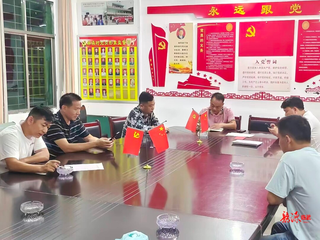 临武县金江镇:党员防汛突击队以"迅"应"汛"